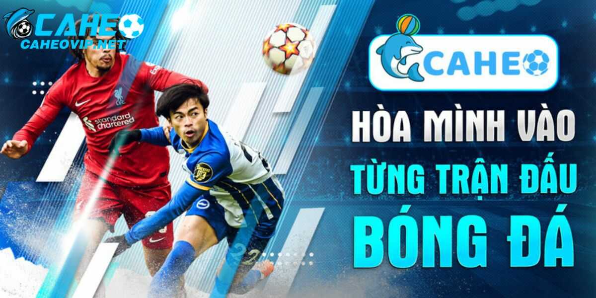 Qua vài thao tác đơn giản, bạn đã có thể truy cập vào Caheotv